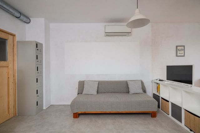 Bright and Cozy 1BD Apartment plus Desk