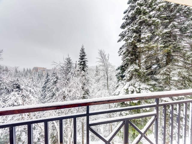 1BD Mountain Getaway in Pamporovo with Parking