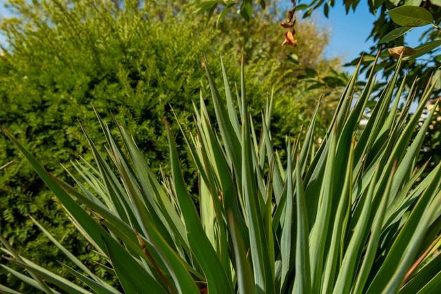 Family Apartment with Sea View in Apolon