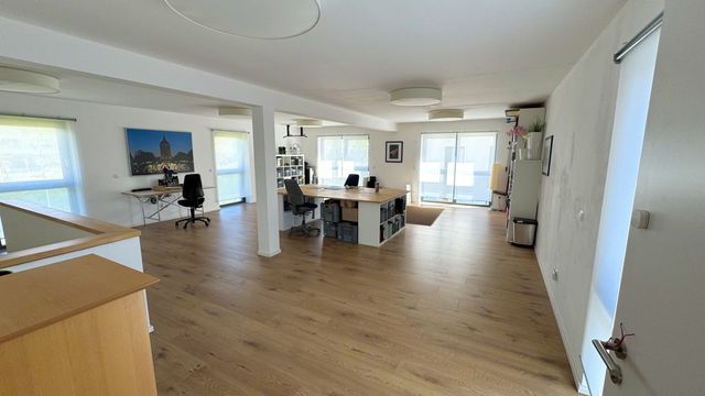 Business and residential in Mannheim