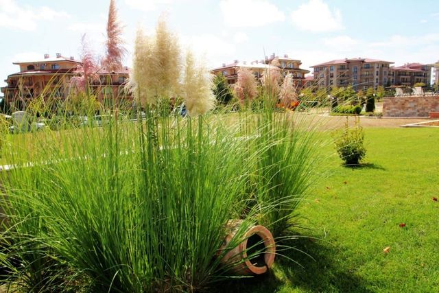 Sorrento Cozy Studio