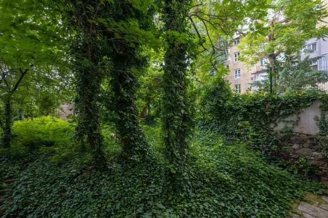 Elegant Escape in The Heart of The City