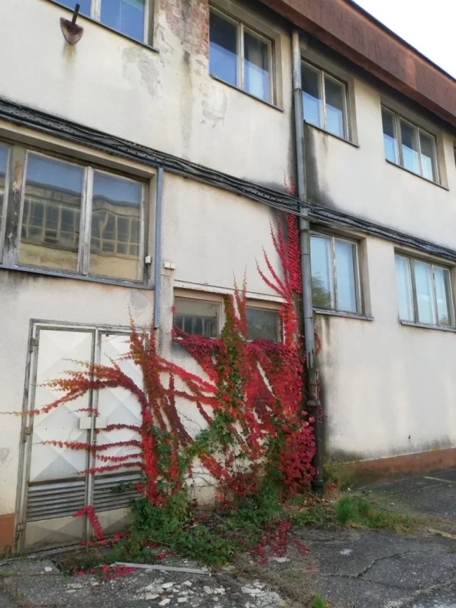 Beautiful Abandoned Factory