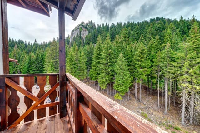 Mountain Luxe Studio