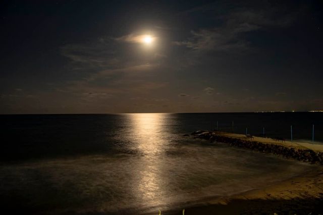 Cozy Aheloy  Marina Cape  Premium sea view 2bed