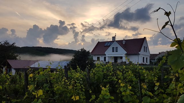 20 hectare traditional ranch - Photo 2