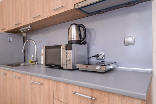 Atacama - spacious apartment in Lozenets area