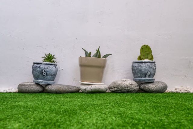 Atacama - spacious apartment in Lozenets area