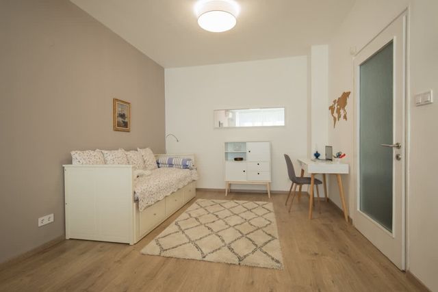 CHIC and Spacious Apartment in Central Sofia