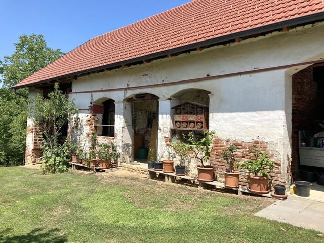 Location 293 - Photo 4