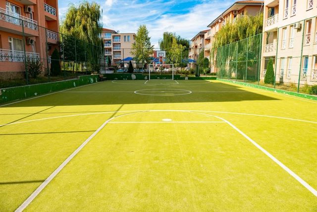 Sunny Day 6 Family Studio