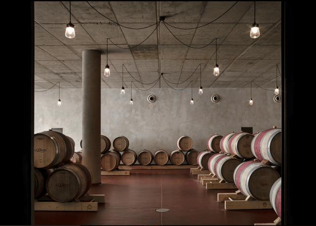 Il Quinto Winery - Photo 2
