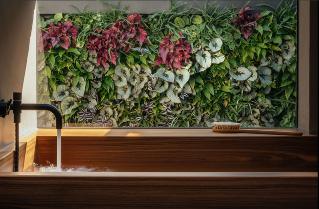 The House of the Elements