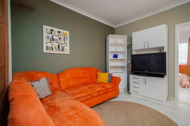 Cozy Apartment near Vitosha Street