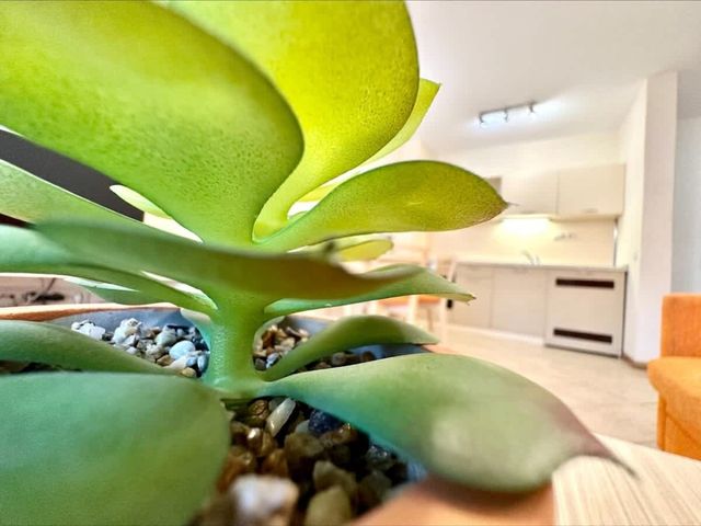 Cozy apartment with balcony in Royal Sun