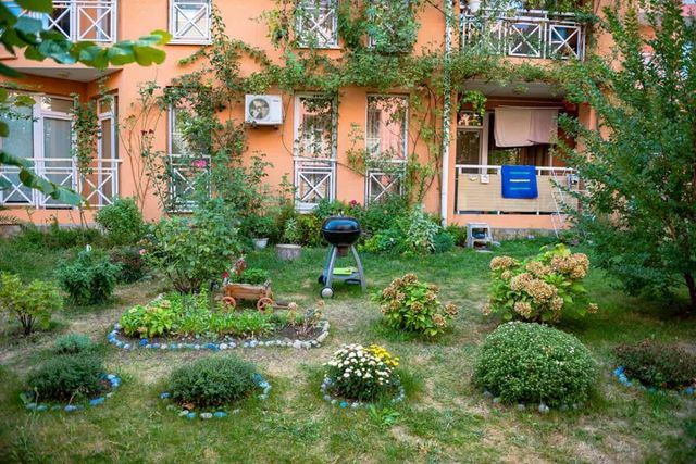 Sunny Day 6 Family Studio