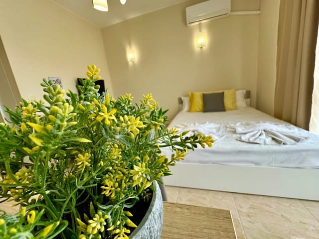 Cozy studio in Sea Dreams - Photo 4