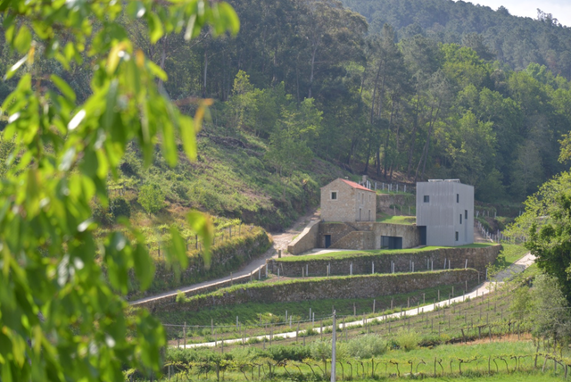 Agrotourism in Melgaço