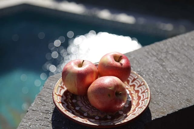 Musica ~ 6BD Private Villa in Balchik