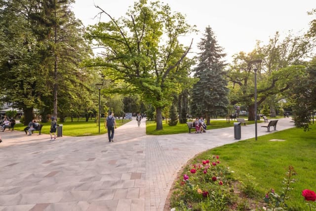 MOCCA Studio - Crystal Garden