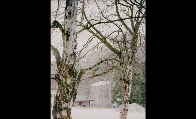 Spluga Climbing Gymnasium