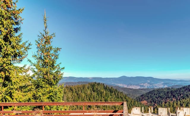 Relaxing Mountain Getaway in Cozy Studio - Photo 2