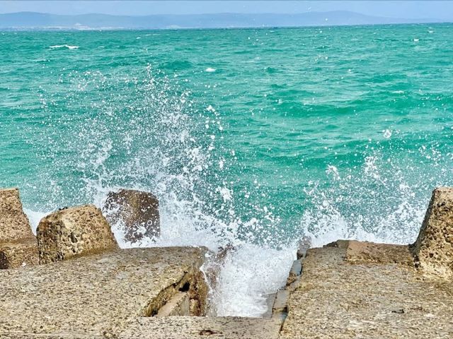 Family studio in Pomorie Bay