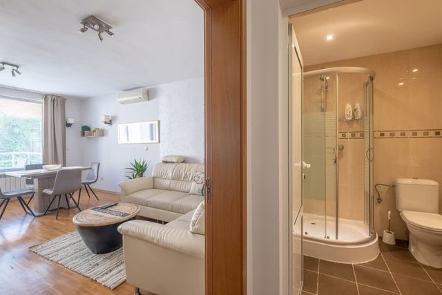 Spacious 1 bedroom apartment in a lively center