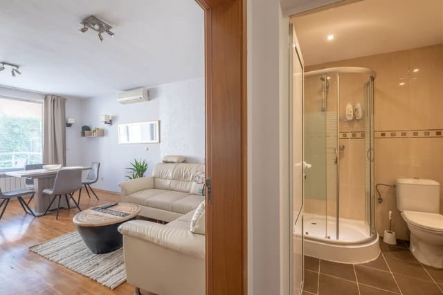 Spacious 1 bedroom apartment in a lively center