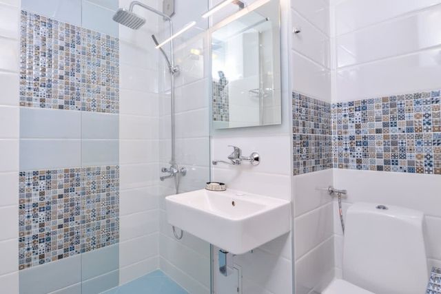 Comfortable One Bedroom Apartment in Zona B5