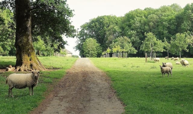 Authenticity and elegance in the Loire Valley, France