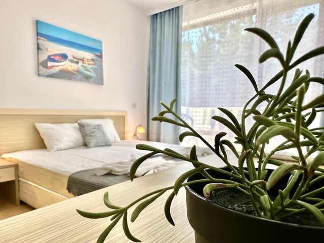 Cozy studio for family in Royal Sun