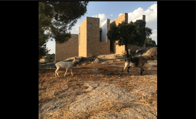 House Studio in Castelo de Vide