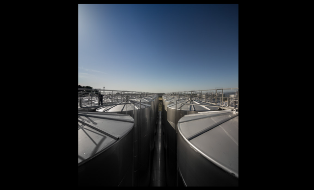 Douro and Porto Winery