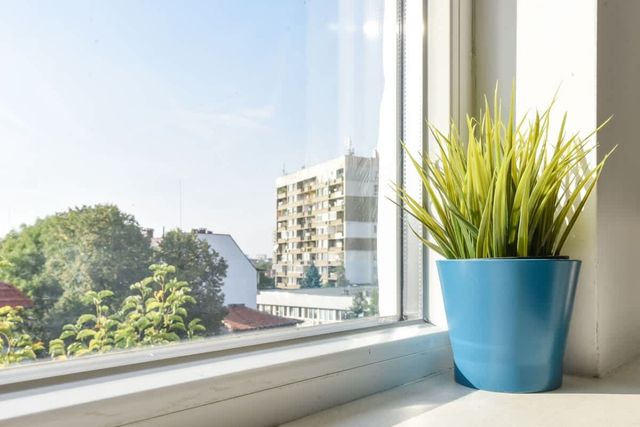 The Ivy House - A Cozy Attic near the City Center