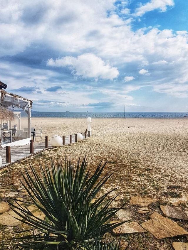 The Blue  1BD Flat near Asparuhovo Sea Garden