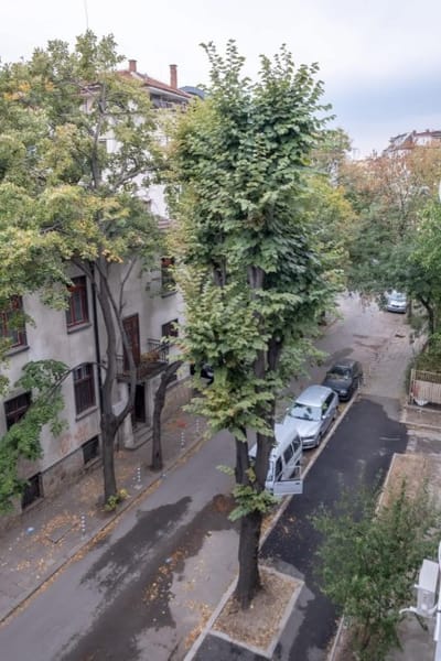 City Park Cosy Apartment