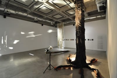 Center for contemporary arts TOPLOCENTRALA