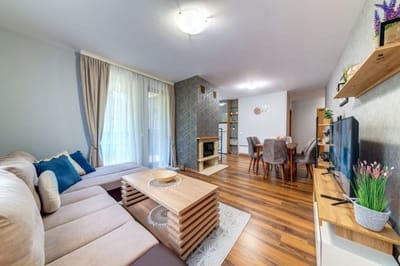 Luxury Flat in Grand Resort Pamporovo