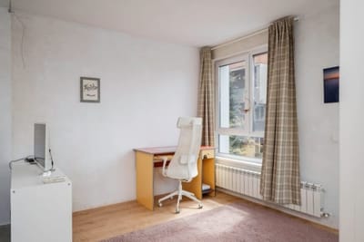 Bright and Cozy 1BD Apartment plus Desk