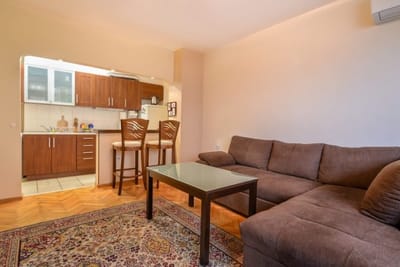 Comfortable One Bedroom Apartment in Zona B5