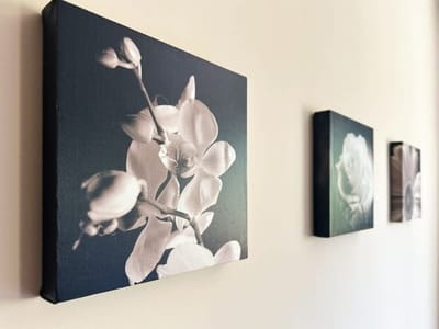 Modern 2BD Flat in Central Sofia + Workspace