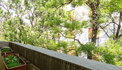 Bright and Cozy 2BD Flat in Plovdiv City Centre