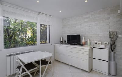 Bright & Cozy 1BD Apartment close to South Park