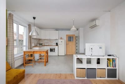 Bright and Cozy 1BD Apartment plus Desk