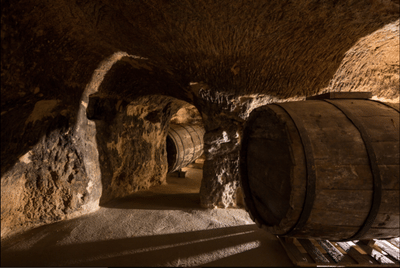 Dominio del Pidio Winery