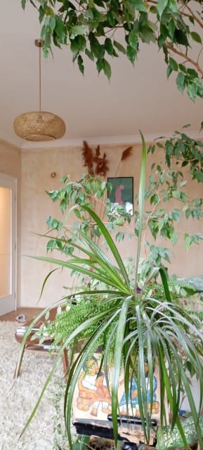 TERRA Design /Award-Winning Apartment/