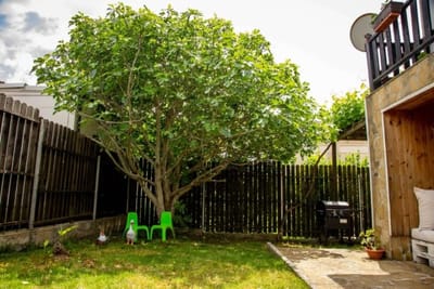 Villa Beni  4-Bedroom Private House