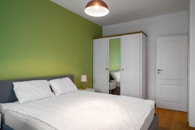 Alla Prima  1BD Flat in Sofia Centre + Desk