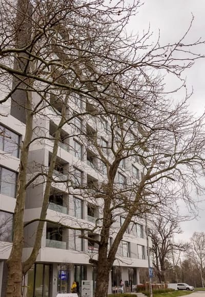 New Black & White Flat 5 Min Away From Sea Garden